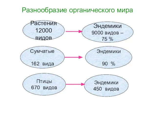 Разнообразие органического мира Эндемики 450 видов Растения 12000 видов Эндемики 9000 видов