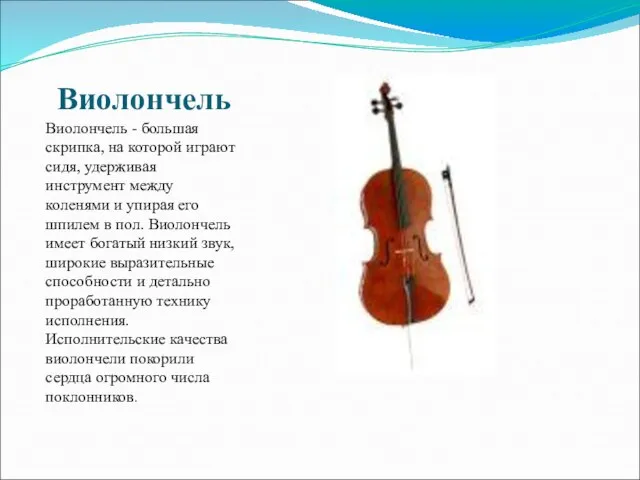 Виолончель Виолончель - большая скрипка, на которой играют сидя, удерживая инструмент между