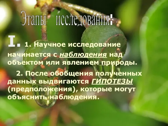 I. 1. Научное исследование начинается с наблюдения над объектом или явлением природы.