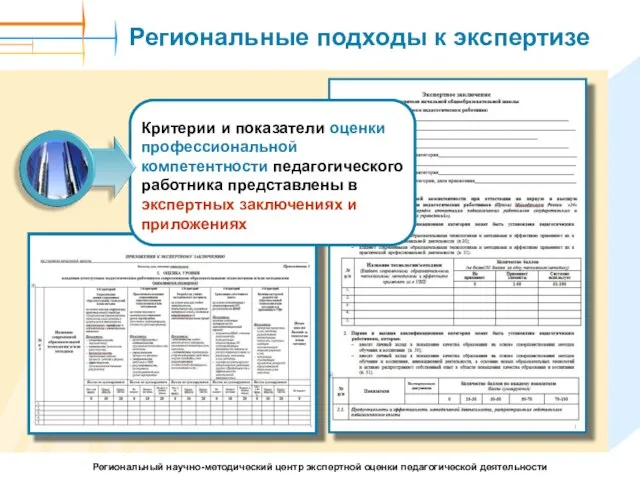 Критерии и показатели оценки профессиональной компетентности педагогического работника представлены в экспертных заключениях