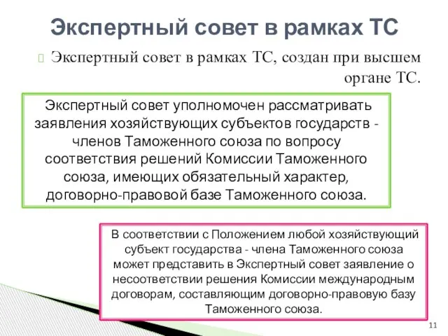 Экспертный совет в рамках ТС, создан при высшем органе ТС. Экспертный совет