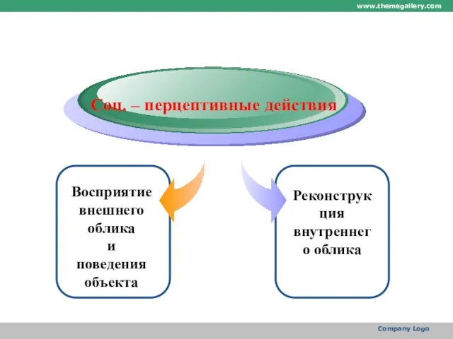 www.themegallery.com Company Logo Diagram Соц. – перцептивные действия Восприятие внешнего облика и