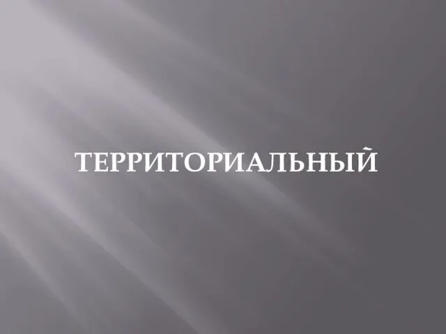 ТЕРРИТОРИАЛЬНЫЙ