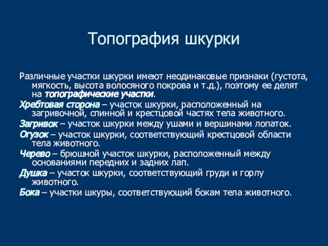 Топография шкурки Различные участки шкурки имеют неодинаковые признаки (густота, мягкость, высота волосяного