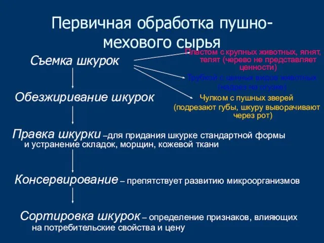 Первичная обработка пушно-мехового сырья Съемка шкурок Пластом с крупных животных, ягнят, телят