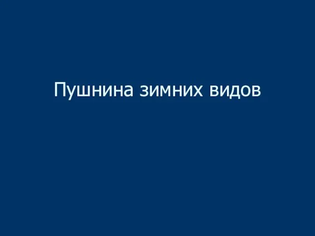 Пушнина зимних видов