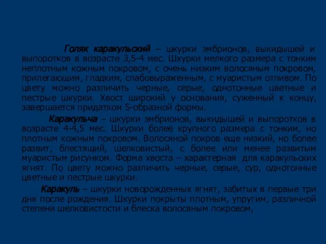 Меховое сырье, получаемое от каракульских пород овец Голяк каракульский – шкурки эмбрионов,