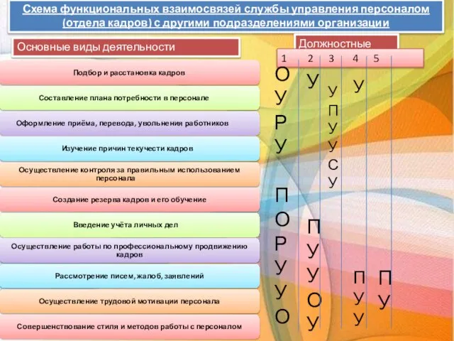 Схема функциональных взаимосвязей службы управления персоналом (отдела кадров) с другими подразделениями организации