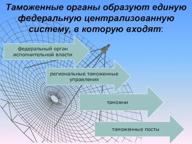 Таможенные органы образуют единую федеральную централизованную систему, в которую входят: федеральный орган