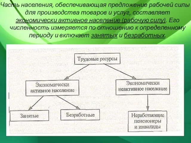 Часть населения, обеспечивающая предложение рабочей силы для производства товаров и услуг, составляет