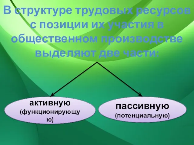 В структуре трудовых ресурсов с позиции их участия в общественном производстве выделяют