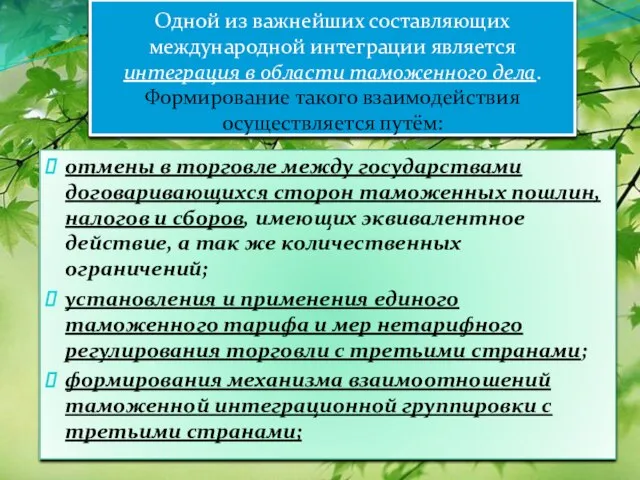 Одной из важнейших составляющих международной интеграции является интеграция в области таможенного дела.