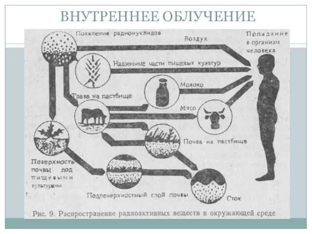 ВНУТРЕННЕЕ ОБЛУЧЕНИЕ