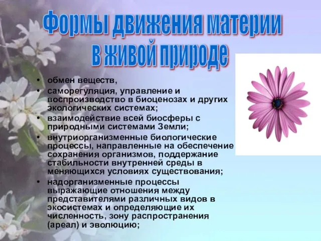 обмен веществ, саморегуляция, управление и воспроизводство в биоценозах и других экологических системах;