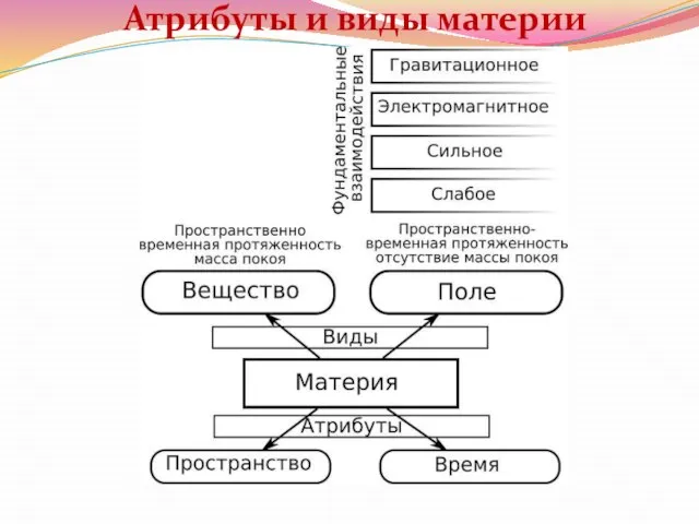 Атрибуты и виды материи