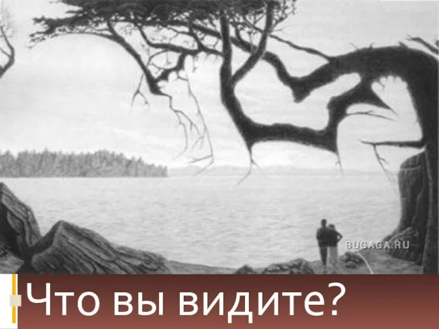 Что вы видите?