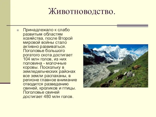 Животноводство. Принадлежало к слабо развитым областям хозяйства, после Второй мировой войны стало