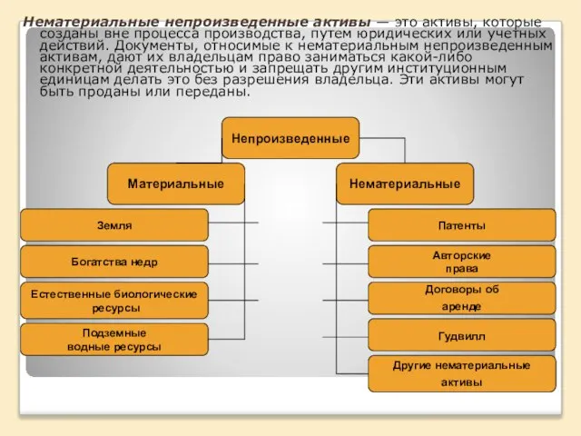 Нематериальные непроизведенные активы — это активы, которые созданы вне процесса производства, путем