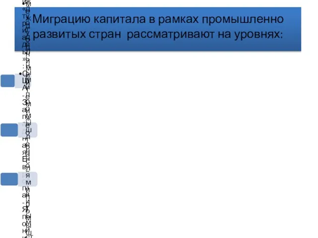 Миграцию капитала в рамках промышленно развитых стран рассматривают на уровнях: