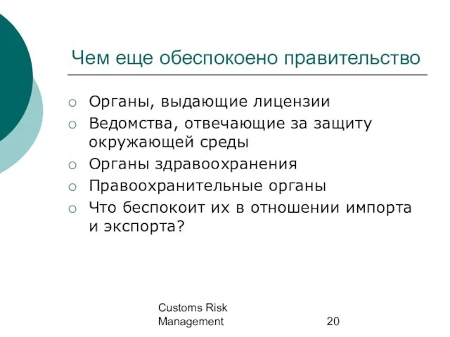 Customs Risk Management Чем еще обеспокоено правительство Органы, выдающие лицензии Ведомства, отвечающие