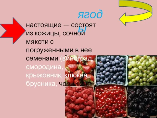 ягоды настоящие — состоят из кожицы, сочной мякоти с погруженными в нее