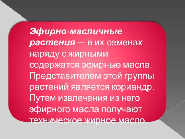 Эфирно-масличные растения — в их семенах наряду с жирными содержатся эфирные масла.