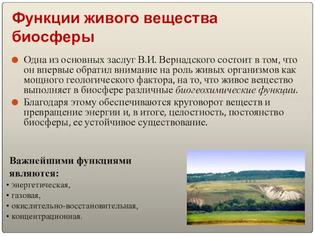 Функции живого вещества биосферы Одна из основных заслуг В.И. Вернадского состоит в