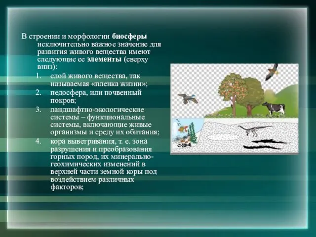 В строении и морфологии биосферы исключительно важное значение для развития живого вещества