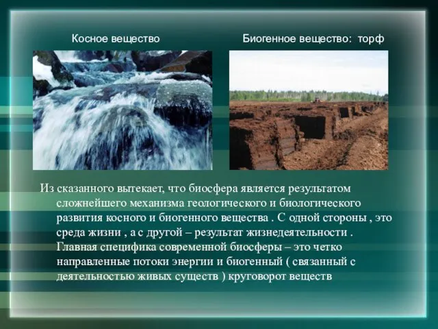 Из сказанного вытекает, что биосфера является результатом сложнейшего механизма геологического и биологического