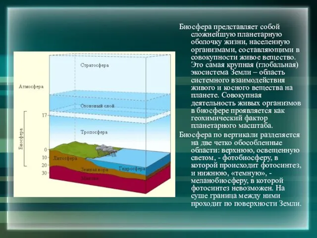 Биосфера представляет собой сложнейшую планетарную оболочку жизни, населенную организмами, составляющими в совокупности
