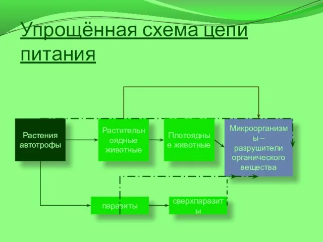 Упрощённая схема цепи питания Растения автотрофы Растительноядные животные Микроорганизмы – разрушители органического