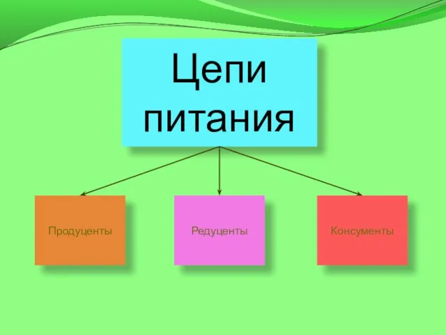 Цепи питания Продуценты Редуценты Консументы