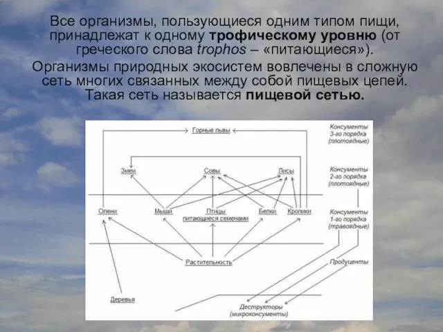 Все организмы, пользующиеся одним типом пищи, принадлежат к одному трофическому уровню (от