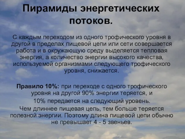 Пирамиды энергетических потоков. С каждым переходом из одного трофического уровня в другой