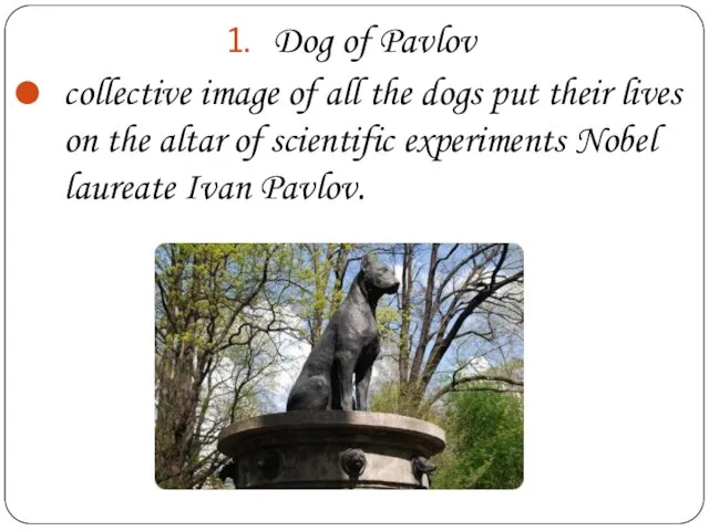 Dog of Pavlov collective image of all the dogs put their lives