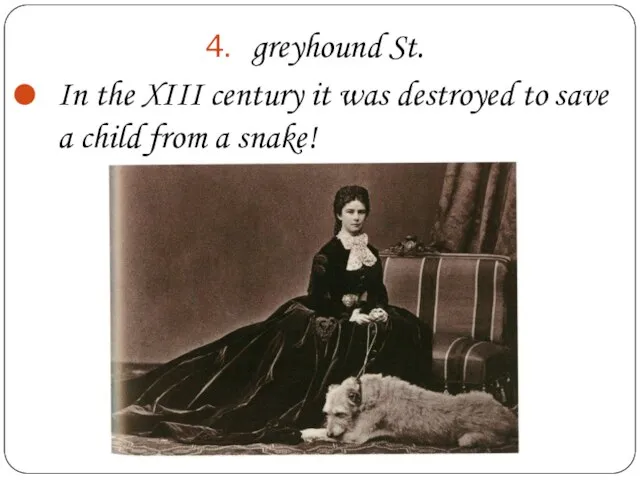 greyhound St. In the XIII century it was destroyed to save a child from a snake!