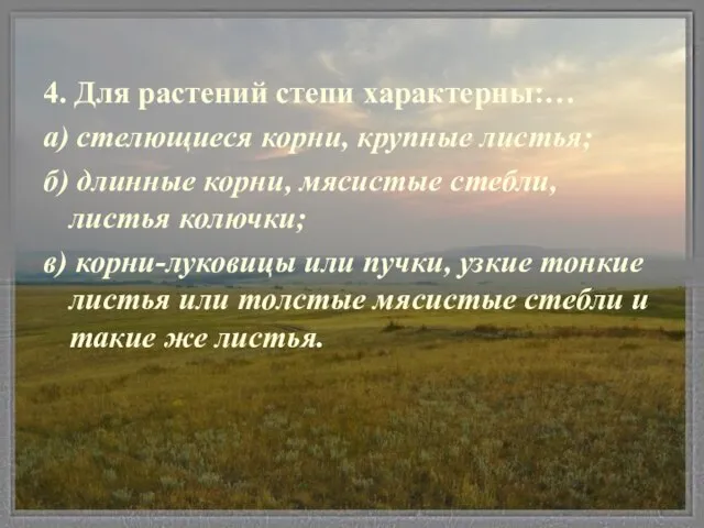 4. Для растений степи характерны:… а) стелющиеся корни, крупные листья; б) длинные