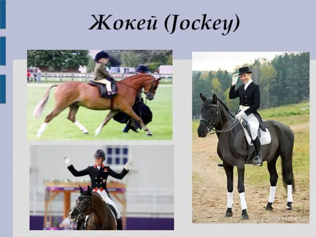 Жокей (Jockey)