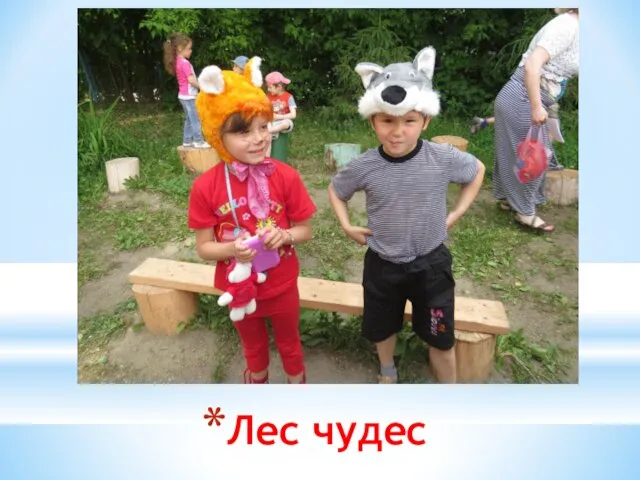 Лес чудес