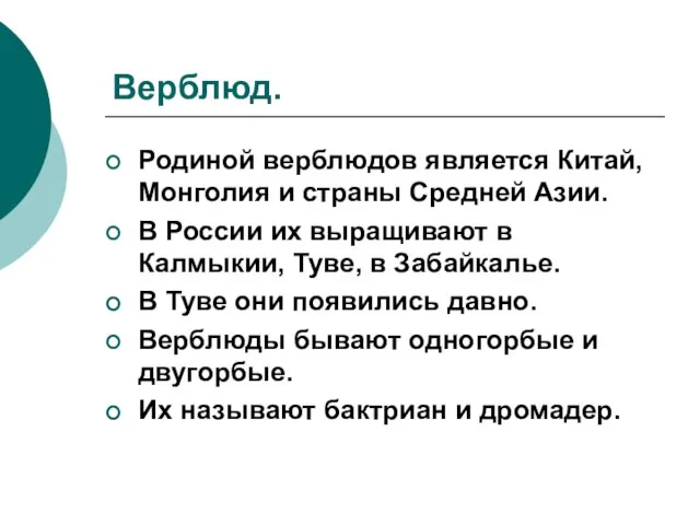 Верблюд. Родиной верблюдов является Китай, Монголия и страны Средней Азии. В России