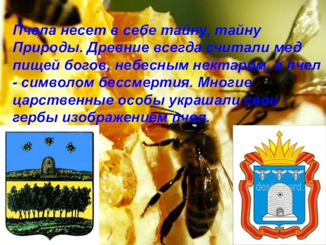 Пчела несет в себе тайну, тайну Природы. Древние всегда считали мед пищей