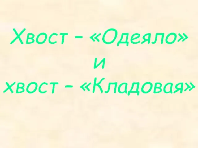 Хвост – «Одеяло» и хвост – «Кладовая»