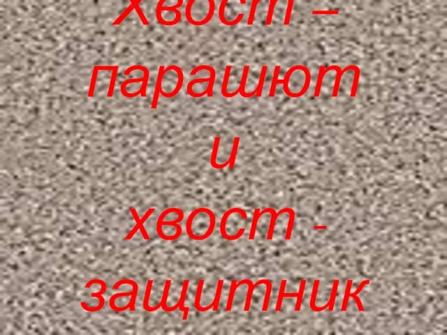 Хвост – парашют и хвост - защитник