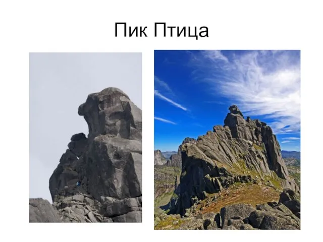 Пик Птица