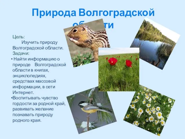 Природа Волгоградской области Цель: Изучить природу Волгоградской области. Задачи: Найти информацию о