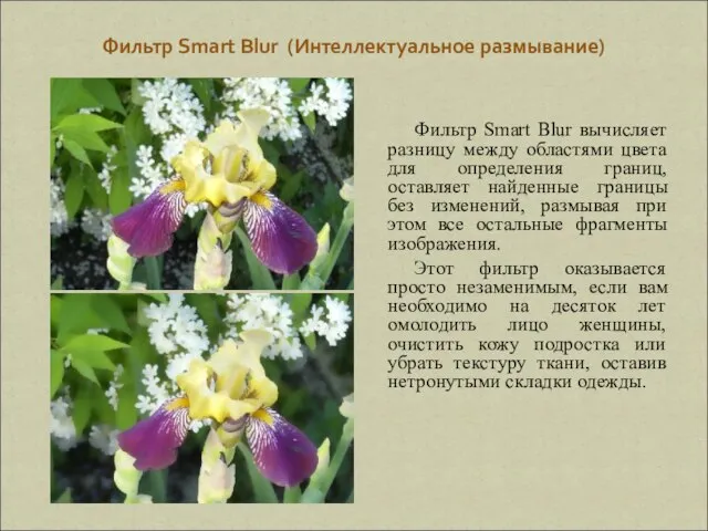 Фильтр Smart Blur (Интеллектуальное размывание) Фильтр Smart Blur вычисляет разницу между областями