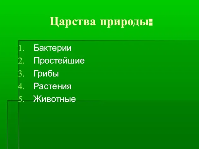 Царства природы: Бактерии Простейшие Грибы Растения Животные