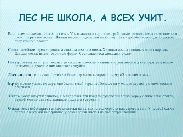 ЛЕС НЕ ШКОЛА, А ВСЕХ УЧИТ. Ель - всем знакомая новогодняя елка.