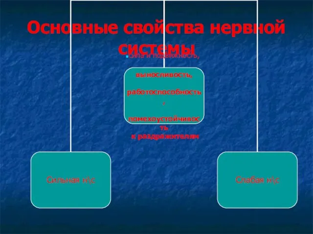 Основные свойства нервной системы