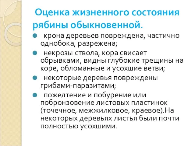 Оценка жизненного состояния рябины обыкновенной. крона деревьев повреждена, частично однобока, разрежена; некрозы